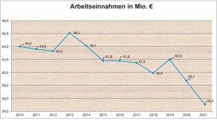 Diagramm Arbeitseinnahmen2021